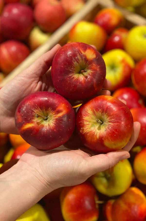 EDEKA Köhler, Göttingen, Grone, Obstbau Wedemeier, Äpfel, Regionalität, außergewöhnlich aromatischen Apfelverkostung