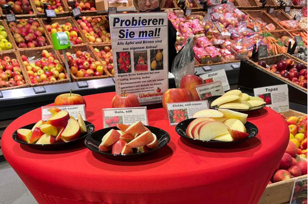 EDEKA Köhler, Göttingen, Grone, Obstbau Wedemeier, Regionalität, Äpfel, außergewöhnlich aromatischen Apfelverkostung