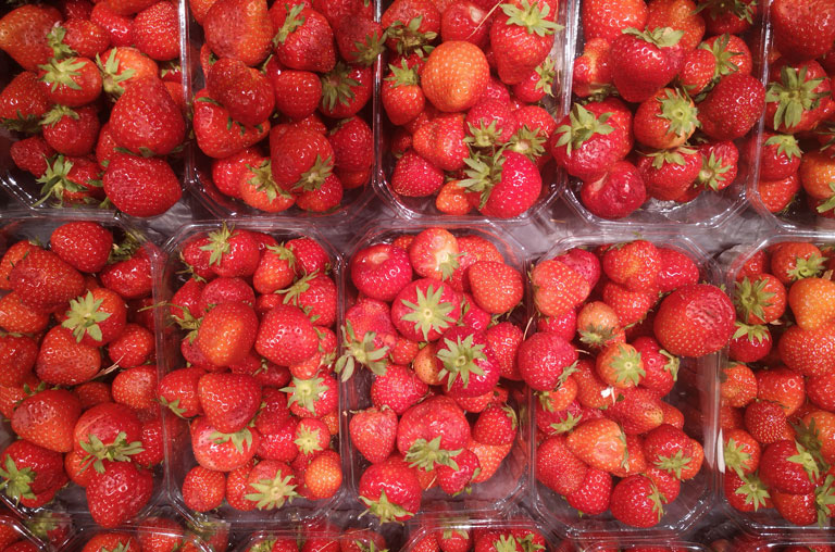 EDEKA Köhler, Göttingen, Grone, Erdbeeren, die berühmteste Sammelnussfrucht der Welt