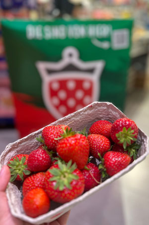 EDEKA Köhler, Göttingen, Grone, Blog, Erdbeeren, Landhof Sander, regional, Erdbeeren, Slush, Marinade, Chutney