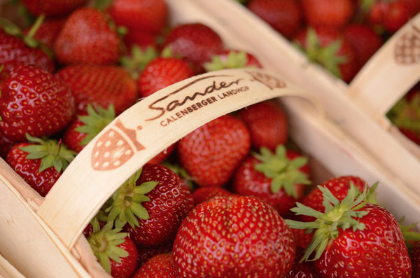 EDEKA Köhler, Göttingen, Grone, Blog, Erdbeeren, Landhof Sander, regional, Erdbeeren, Slush, Marinade, Chutney