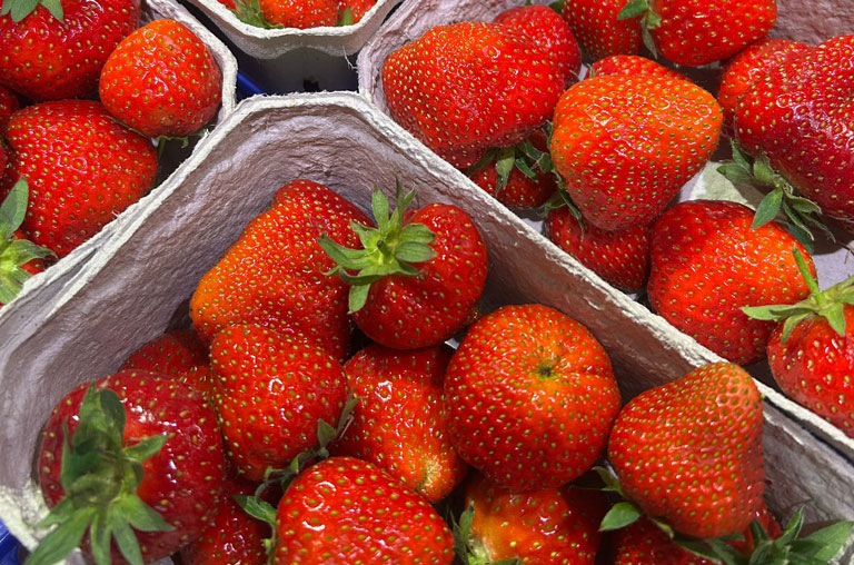 EDEKA Köhler, Göttingen, Grone, Blog, Erdbeeren, Landhof Sander, regional, Erdbeeren, Slush, Marinade, Chutney