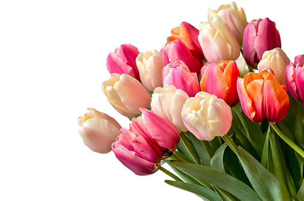 EDEKA Köhler, Göttingen, Grone, Blog, Muttertag, international, Blumen, Pralinen, Familie, Genuss