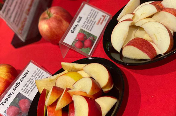 EDEKA Köhler, Göttingen, Grone, Blog, Äpfel, Obstbau Wedemeier, Regionalität, Herbst