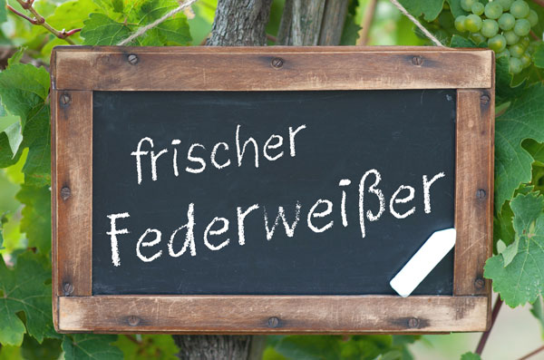 EDEKA Köhler, Göttingen, Grone, Blog, Federweißer, Flammkuchen, Herbst, Kürbis